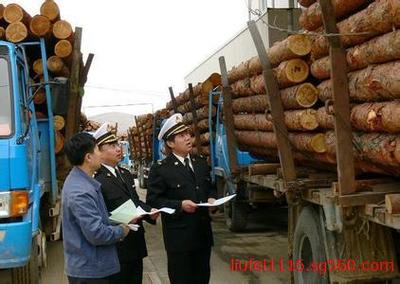 欧洲榉木进口清关全攻略 上海洋山港木材报关代理实务解析