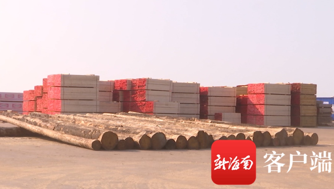 洋浦 海南中顺国际木材产业园将打造全省首家大宗进口木材产品交易集散中心